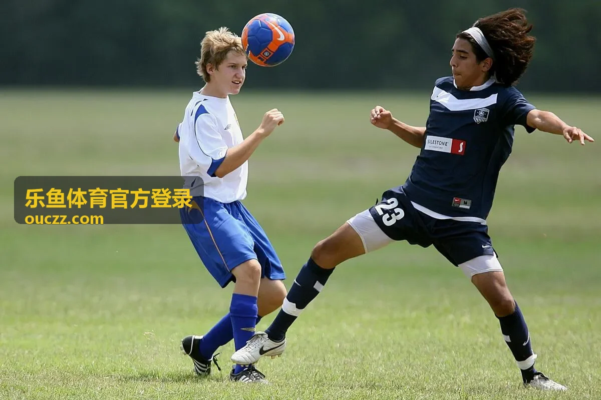 乐鱼体育官方登录移动端入口说明